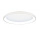 42044-C-White Inlight Πλαφονιέρα οροφής LED 28W 3CCT από λευκό μέταλλο και ακρυλικό D:50x5cm (42044-C-White)