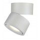 9095-White InLight Φωτιστικό Σποτ Οροφής LED 15W, 3CCT, Λευκό, D:10x10,7cm (9095-White)