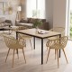 200-001892 Τραπεζαρία με Πολυθρόνες Ezra cappuccino και Τραπέζι Faragio μαύρο με φυσική απόχρωση 120x75x75εκ Σετ 5τεμ