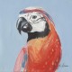 14670089  Πίνακας ArteLibre -Ζωϊκό Βασίλειο- Καμβάς 30x30cm